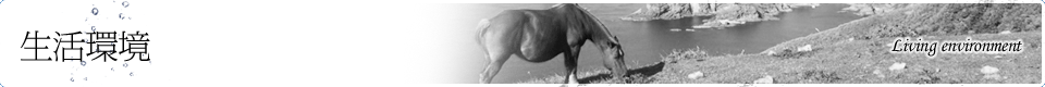 生活環境 Living environment